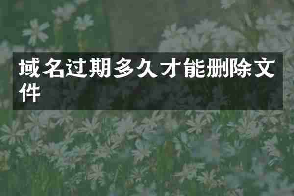 域名过期多久才能删除文件