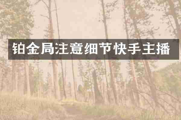 铂金局注意细节快手主播