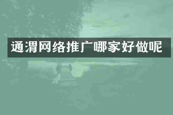 通渭网络推广哪家好做呢