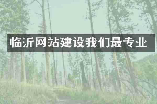 临沂网站建设我们最专业