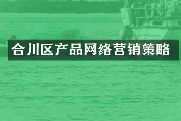 合川区产品网络营销策略