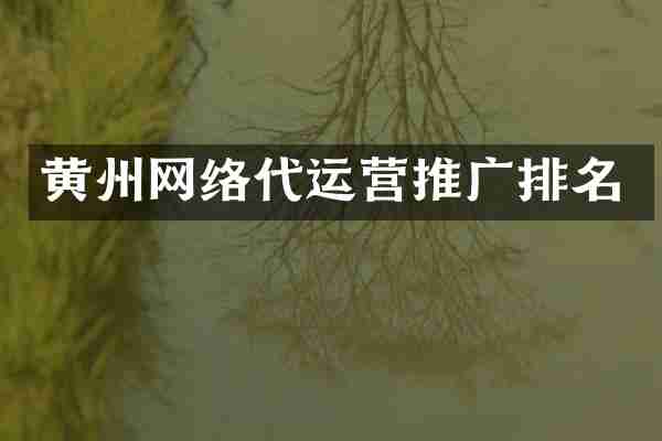 黄州网络代运营推广排名