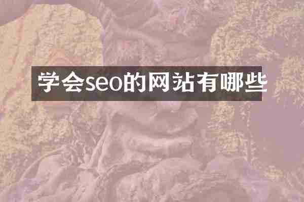 学会seo的网站有哪些