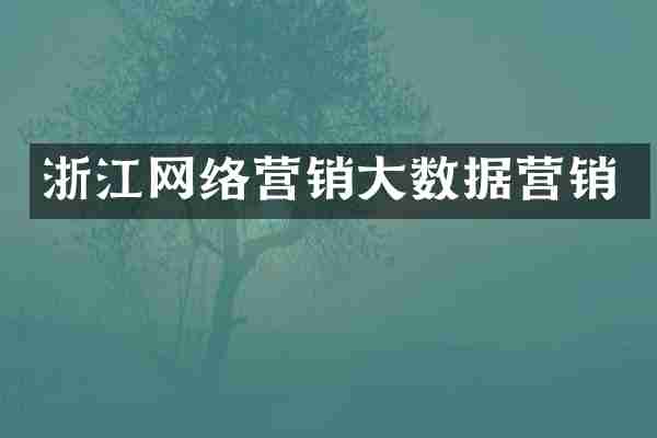 浙江网络营销大数据营销