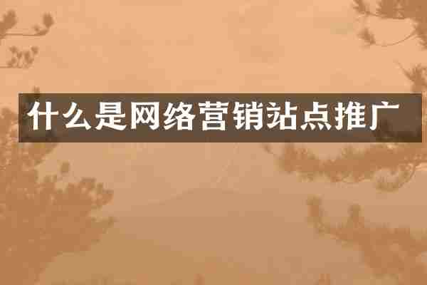 什么是网络营销站点推广