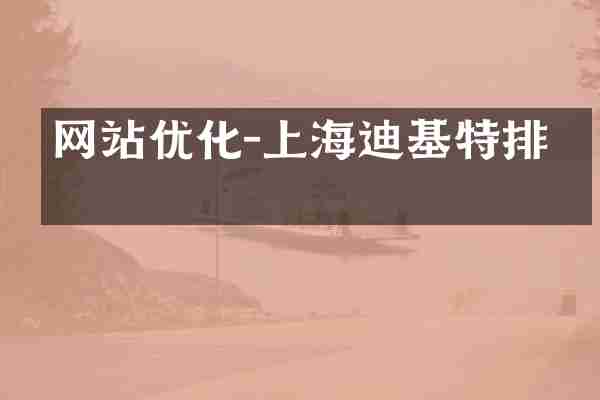 网站优化-上海迪基特排名