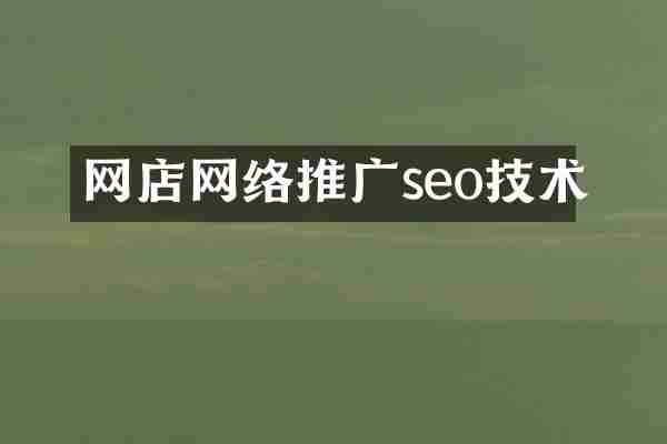 网店网络推广seo技术