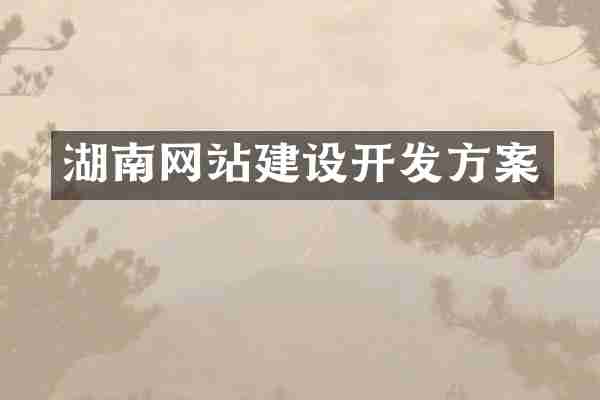 湖南网站建设开发方案