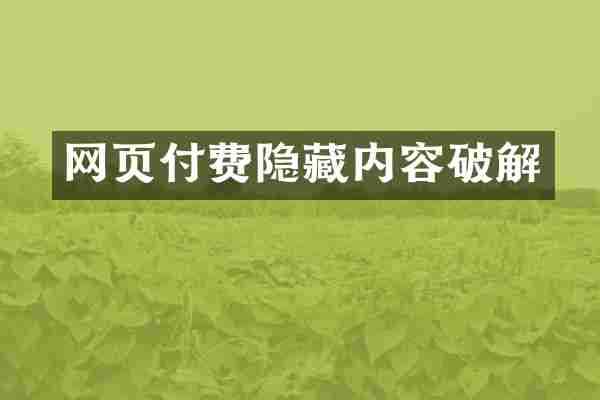 网页付费隐藏内容破解