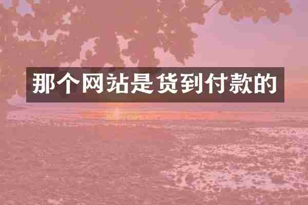 那个网站是货到付款的