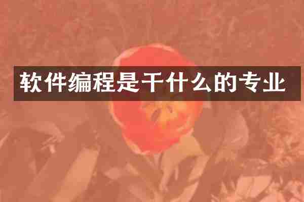 软件编程是干什么的专业