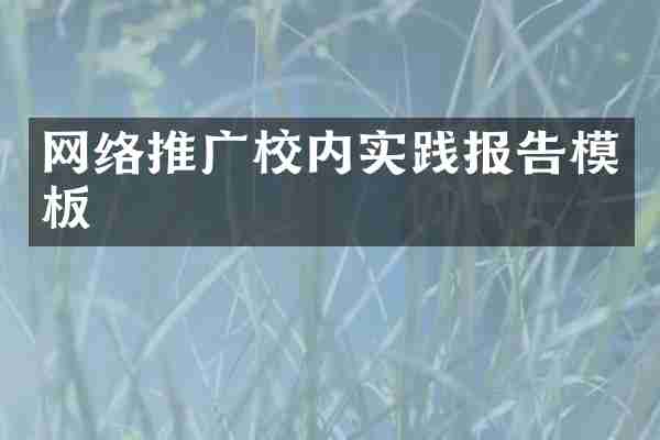 网络推广校内实践报告模板