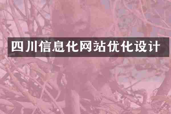 四川信息化网站优化设计