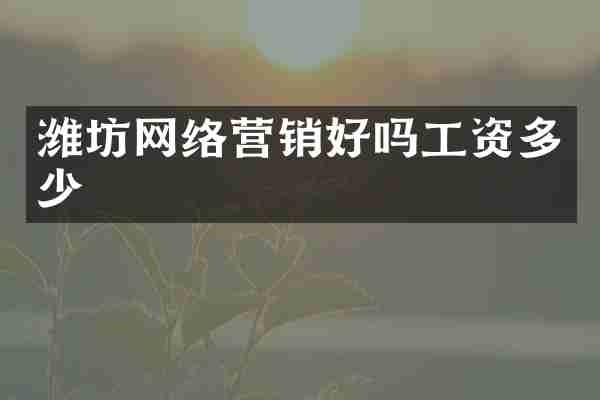 潍坊网络营销好吗工资多少