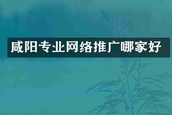 咸阳专业网络推广哪家好