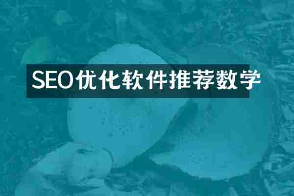 SEO优化软件推荐数学