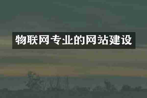 物联网专业的网站建设