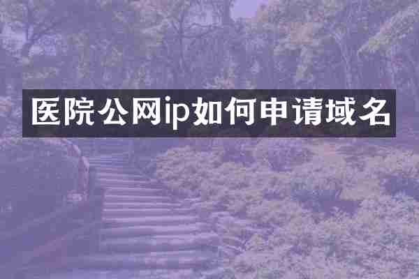 医院公网ip如何申请域名