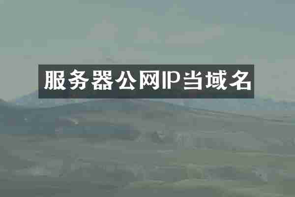 服务器公网IP当域名
