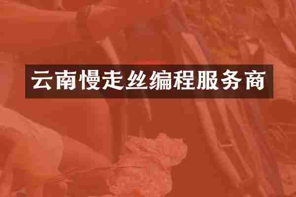 云南慢走丝编程服务商