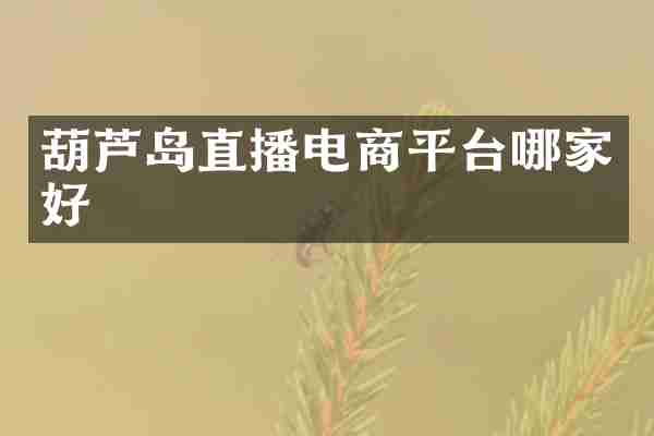 葫芦岛直播电商平台哪家好