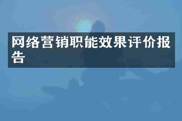 网络营销职能效果评价报告