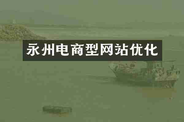 永州电商型网站优化