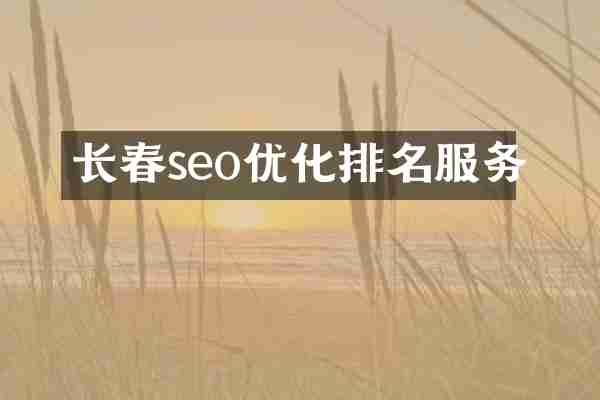 长春seo优化排名服务