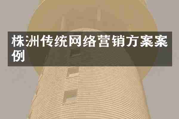 株洲传统网络营销方案案例