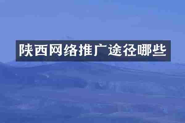 陕西网络推广途径哪些