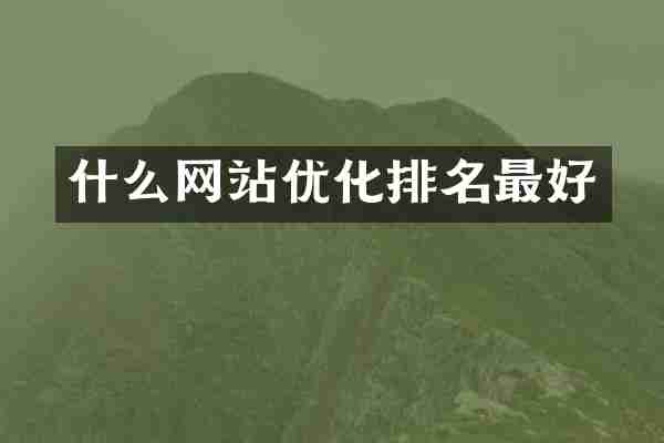 什么网站优化排名最好
