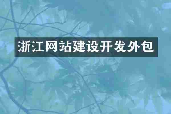 浙江网站建设开发外包