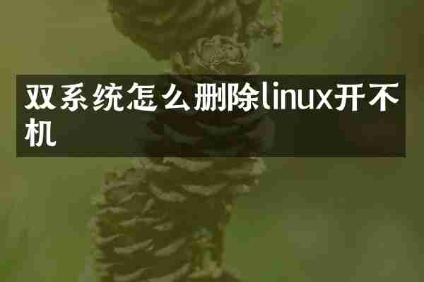 双系统怎么删除linux开不了机