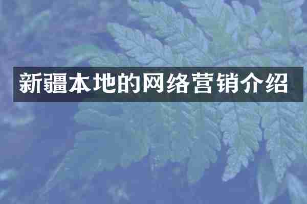 新疆本地的网络营销介绍