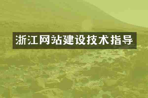 浙江网站建设技术指导