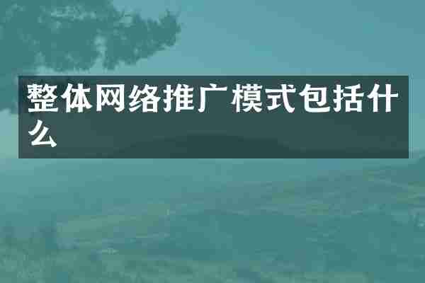 整体网络推广模式包括什么