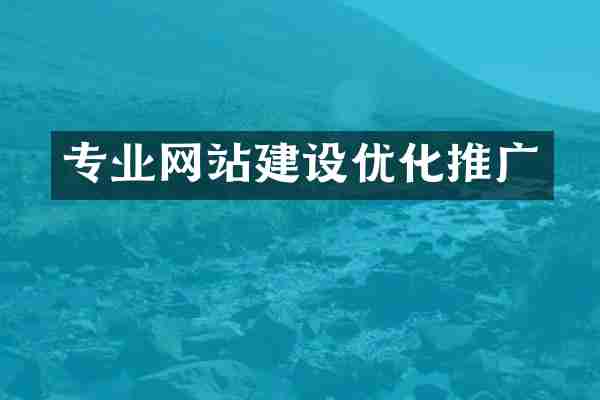 专业网站建设优化推广