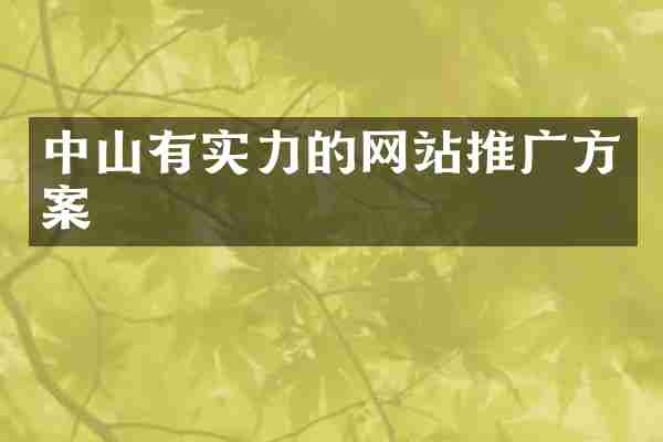 中山有实力的网站推广方案