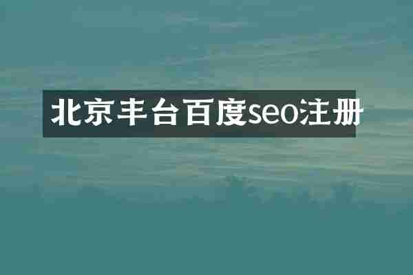 北京丰台百度seo注册