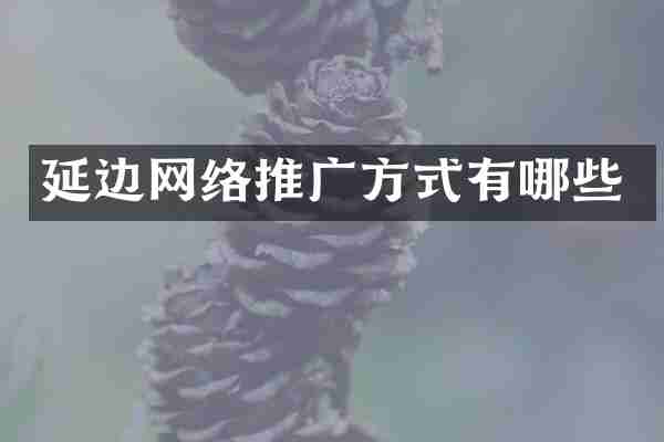 延边网络推广方式有哪些