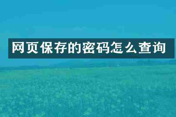 网页保存的密码怎么查询