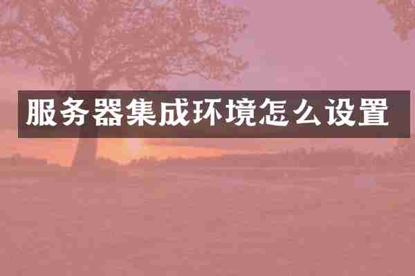 服务器集成环境怎么设置