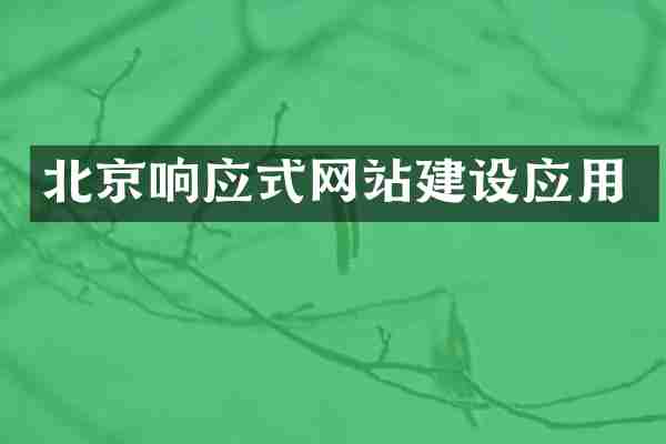 北京响应式网站建设应用