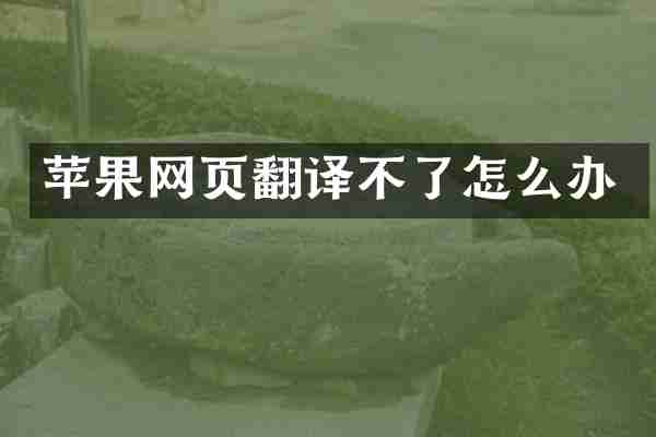 苹果网页翻译不了怎么办