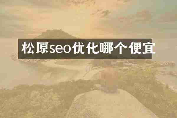 松原seo优化哪个便宜