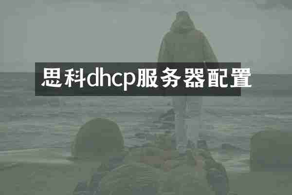 思科dhcp服务器配置