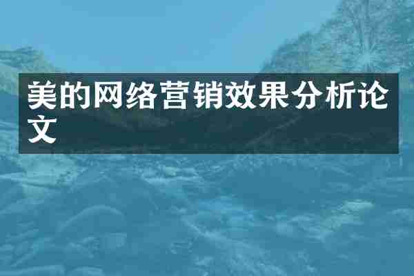 美的网络营销效果分析论文