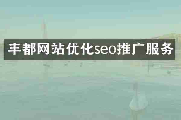 丰都网站优化seo推广服务