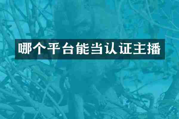 哪个平台能当认证主播