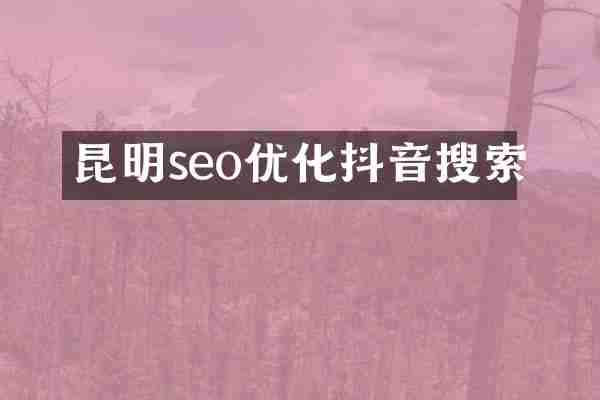 昆明seo优化抖音搜索